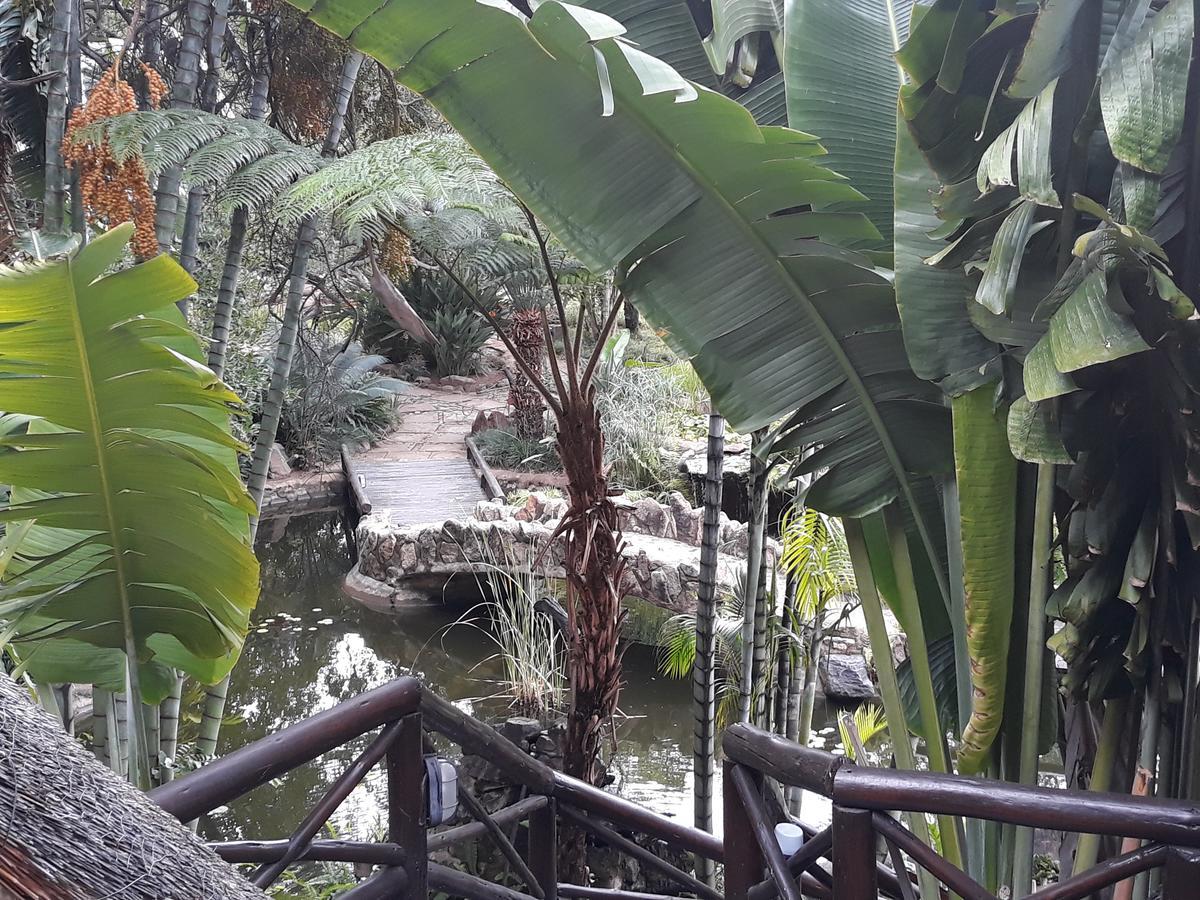 Moholoholo Ya Mati Guest House Kampersrus AH Eksteriør bilde